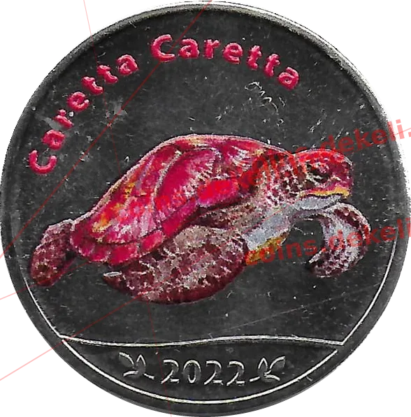 Caretta Caretta