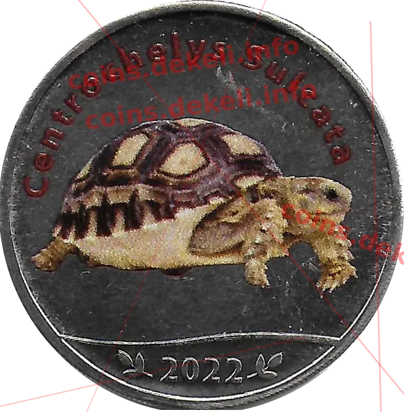 Centrochelys Sulcata