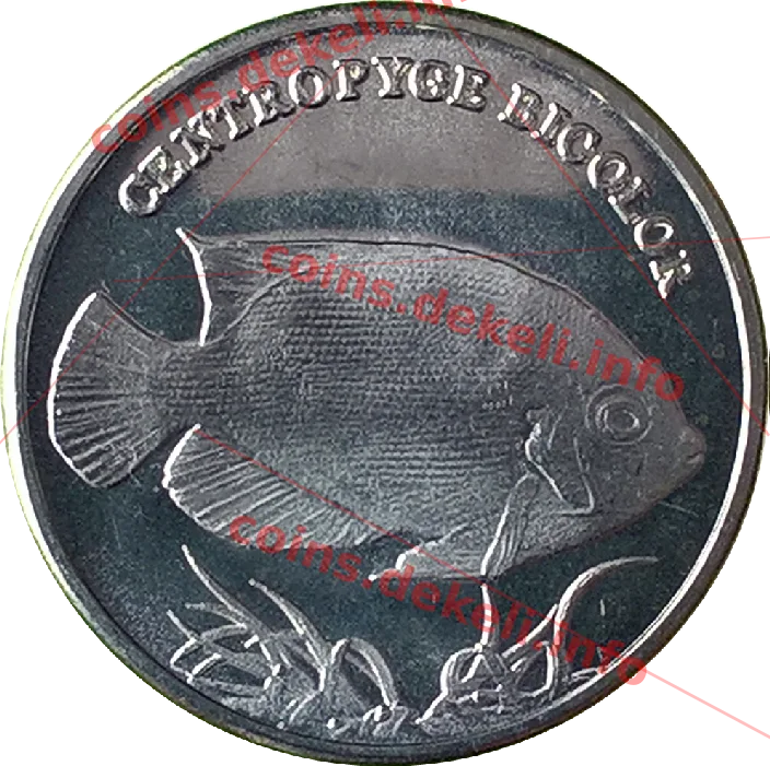 Centropyce bicolor