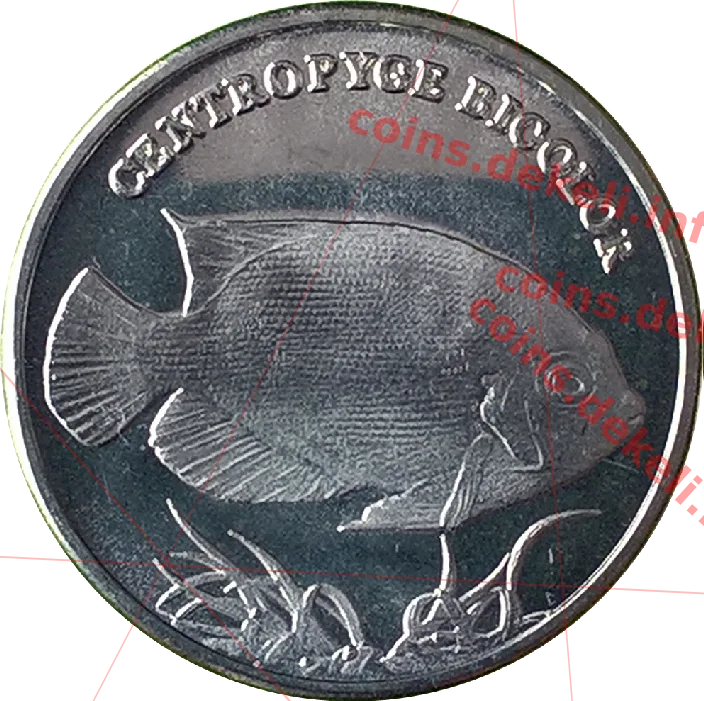 Centropyce bicolor