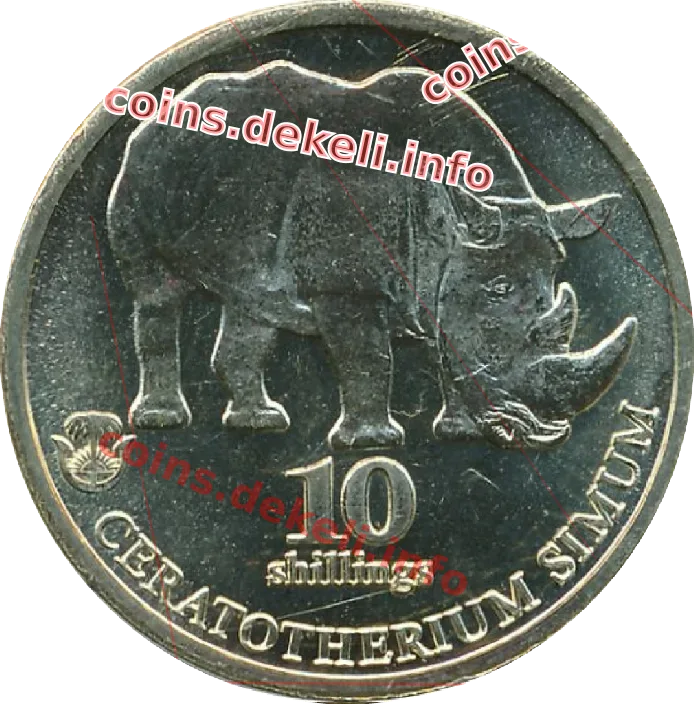 Ceratotherium simum