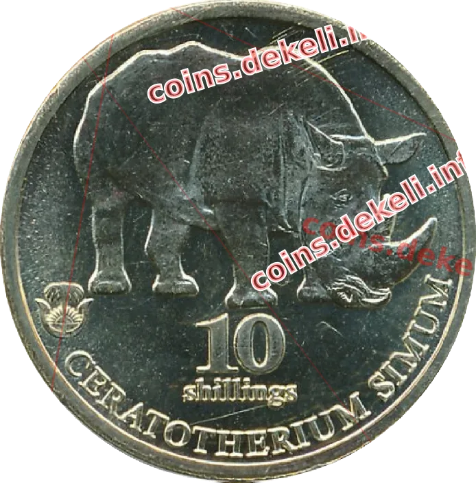 Ceratotherium simum