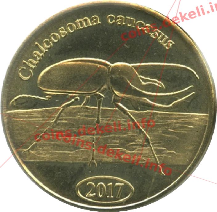 Chalcosoma caucasus
