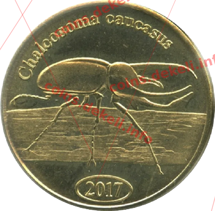 Chalcosoma caucasus