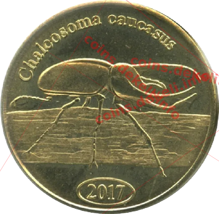 Chalcosoma caucasus