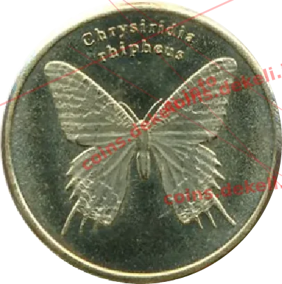 Chrysiridia rhipheus