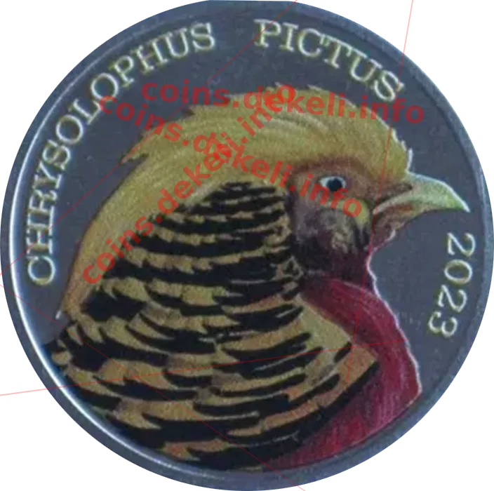 Chrysolphus oictus