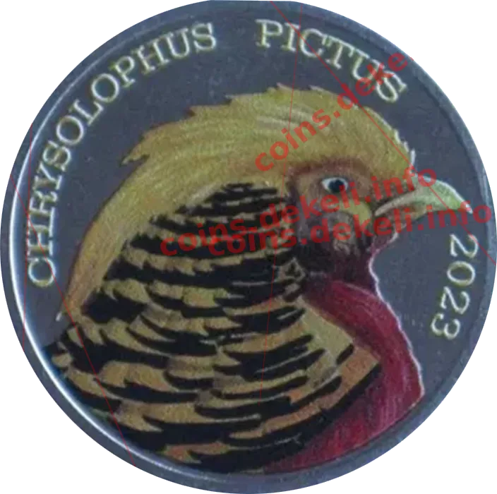 Chrysolphus oictus