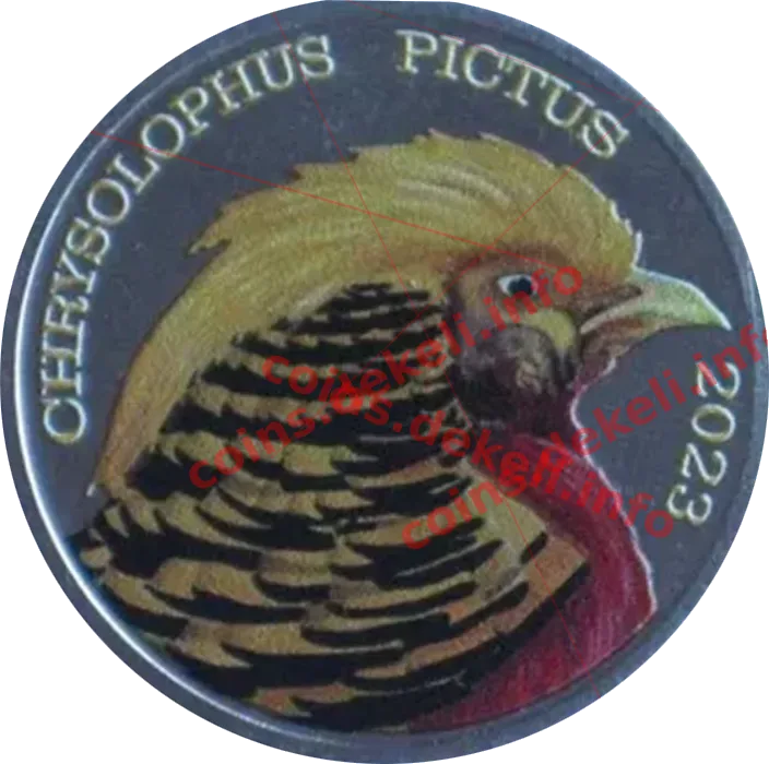 Chrysolphus oictus