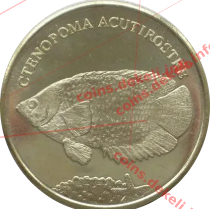 Ctenopoma acutirostre — реверс