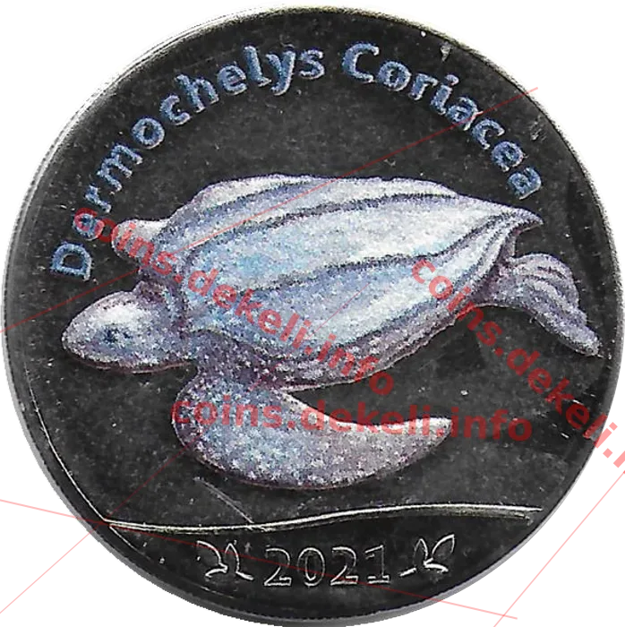 Dermochelys Coriacea