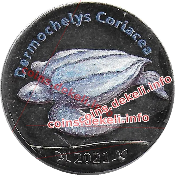 Dermochelys Coriacea
