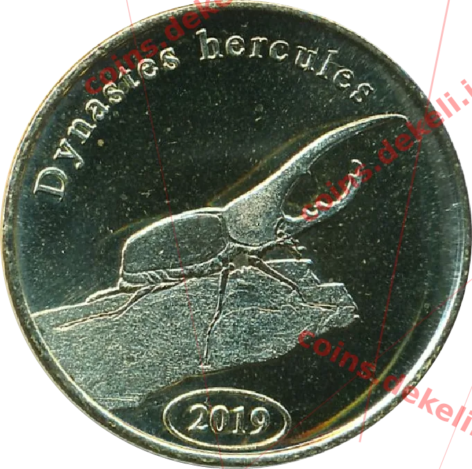 Dynastes hercules — реверс