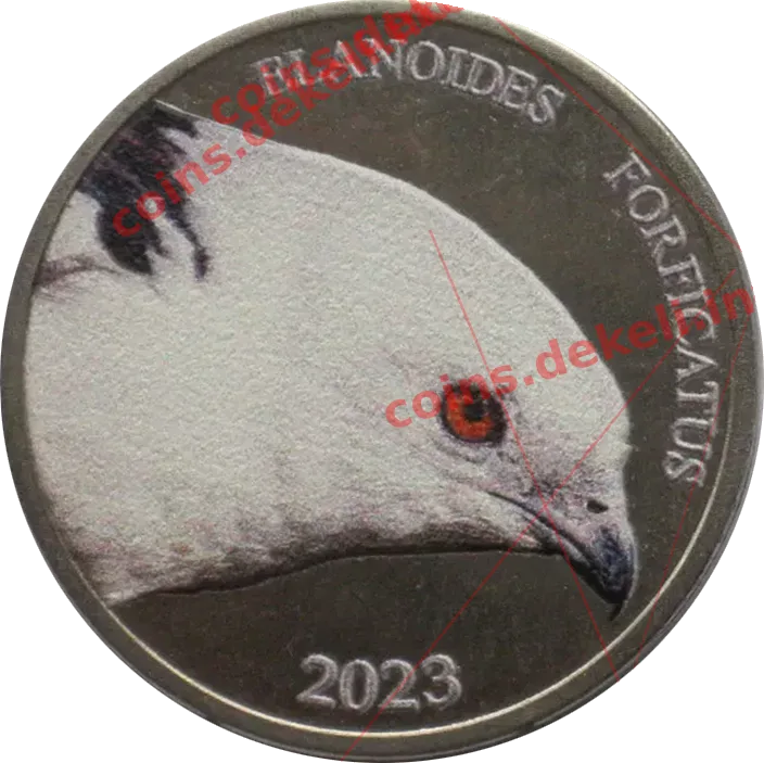 Elandoides forficatus