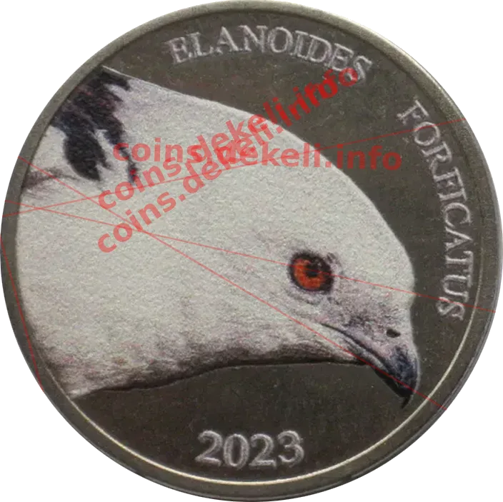 Elandoides forficatus