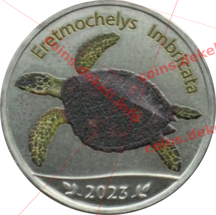 Eretmochelys Imbricata