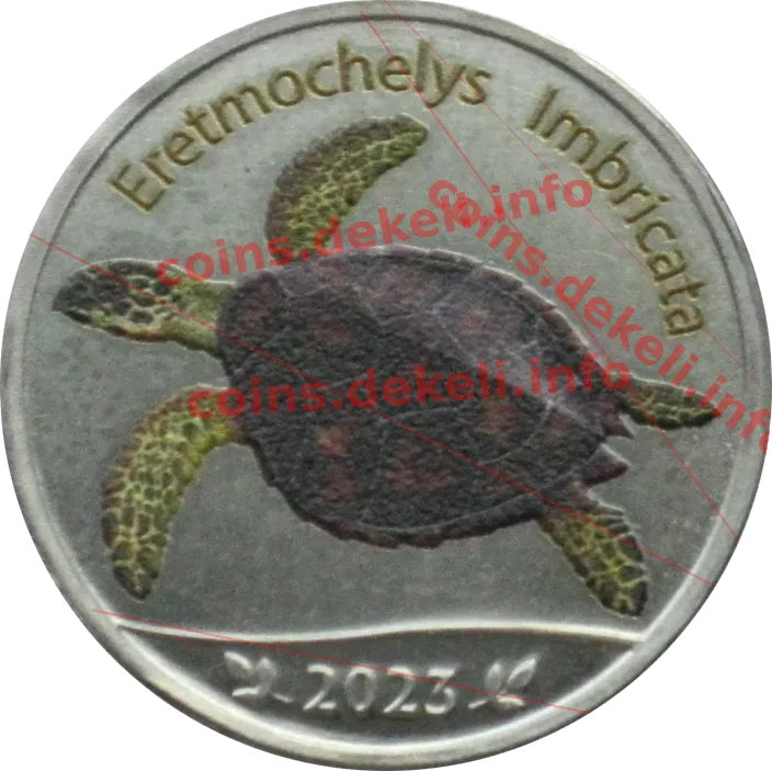 Eretmochelys Imbricata