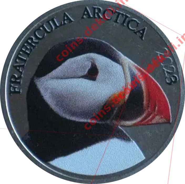 Fratercula arctica