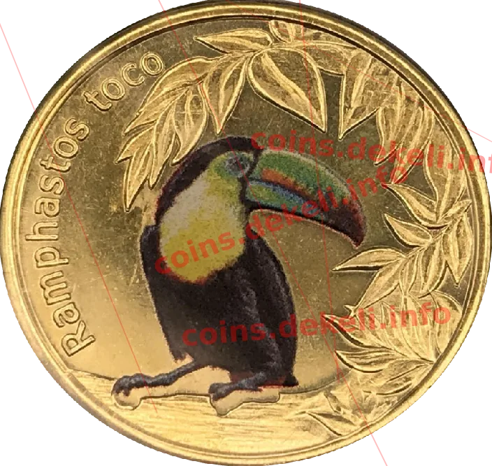 Giant Toucan