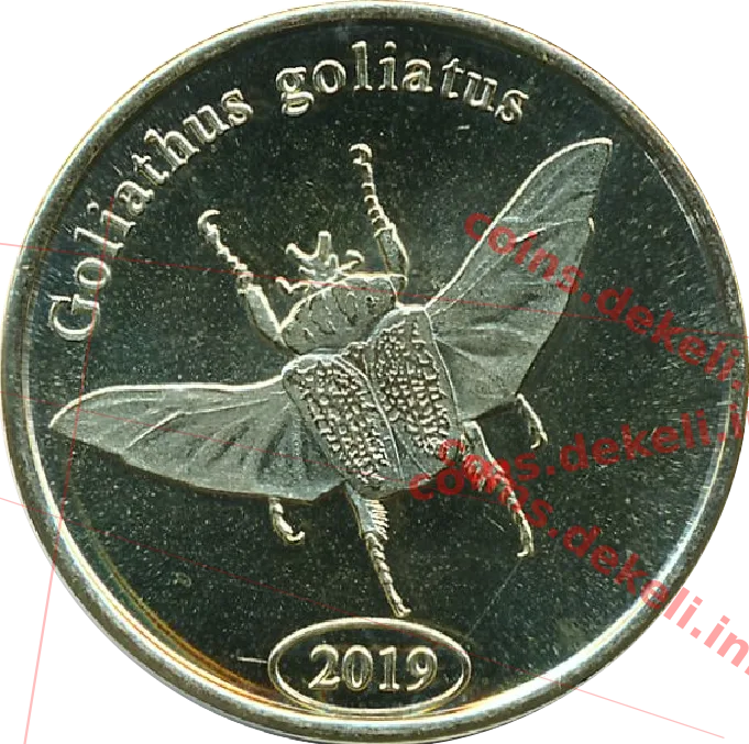 Goliathus goliatus — реверс