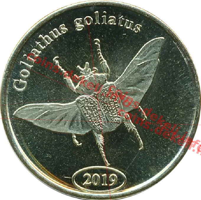 Goliathus goliatus