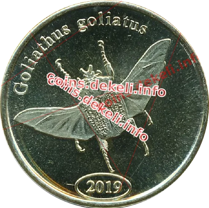 Goliathus goliatus