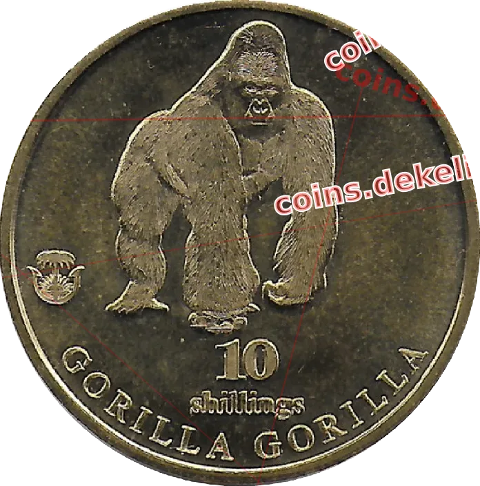 Gorilla gorilla