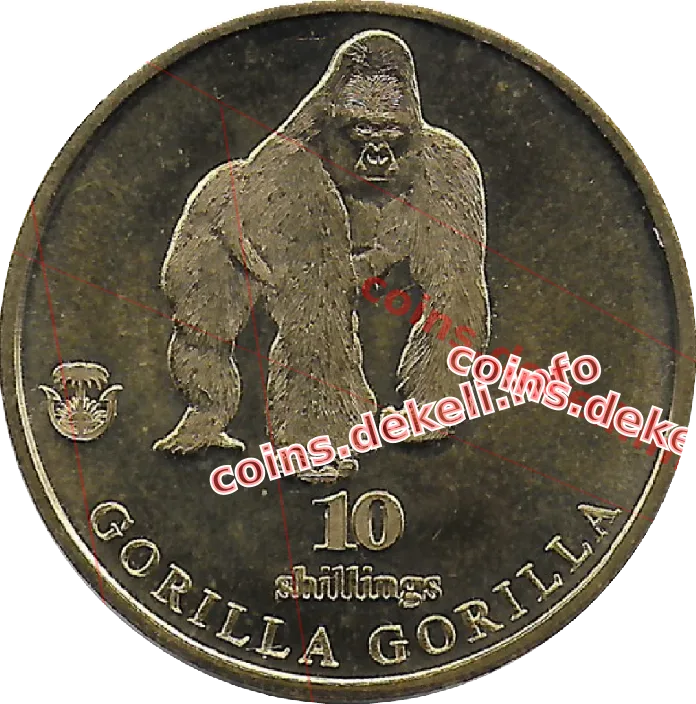 Gorilla gorilla