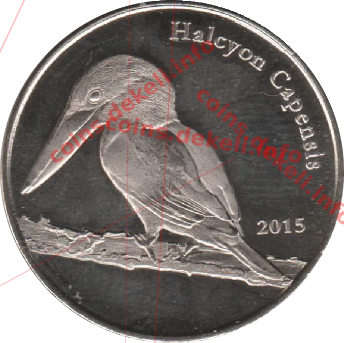 Halcyon Capensis