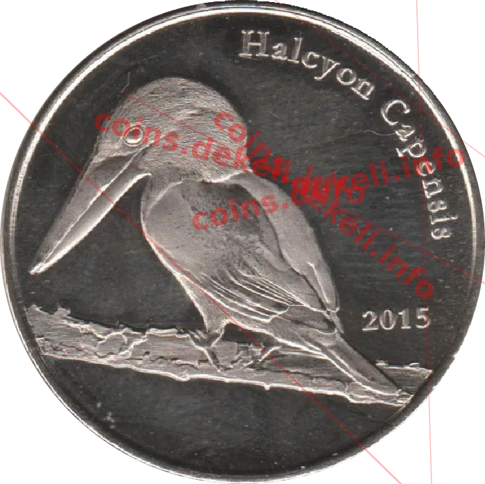 Halcyon Capensis