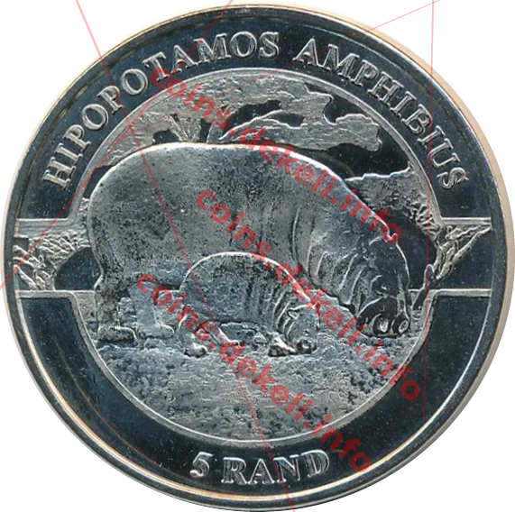 Hipopotamos amphibius