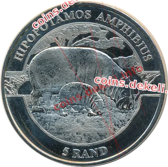 Hipopotamos amphibius
