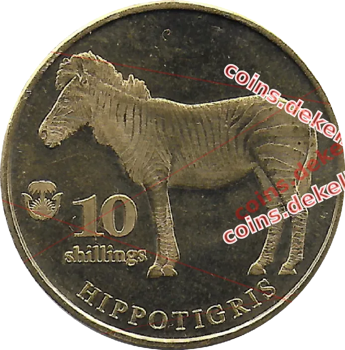 Hippotigris