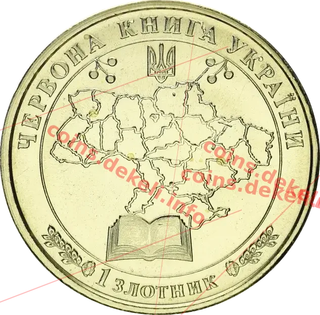 Ірис плямистий — реверс