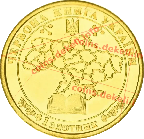 Кінь дикий