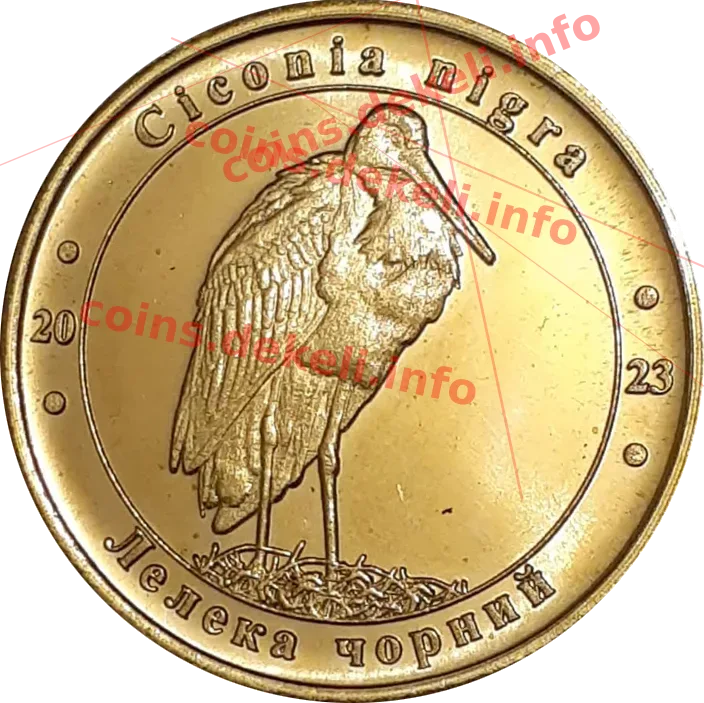 Лелека чорний