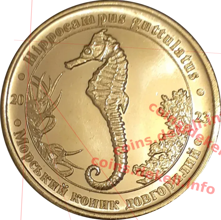 Морський коник довгорилий