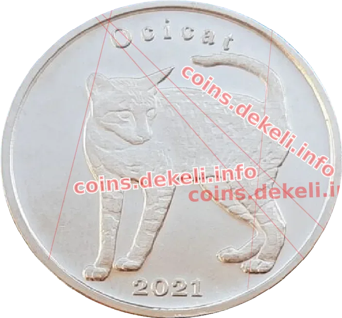 Ocicat
