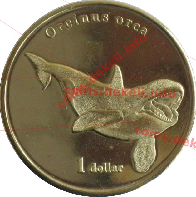 Orcinus orca