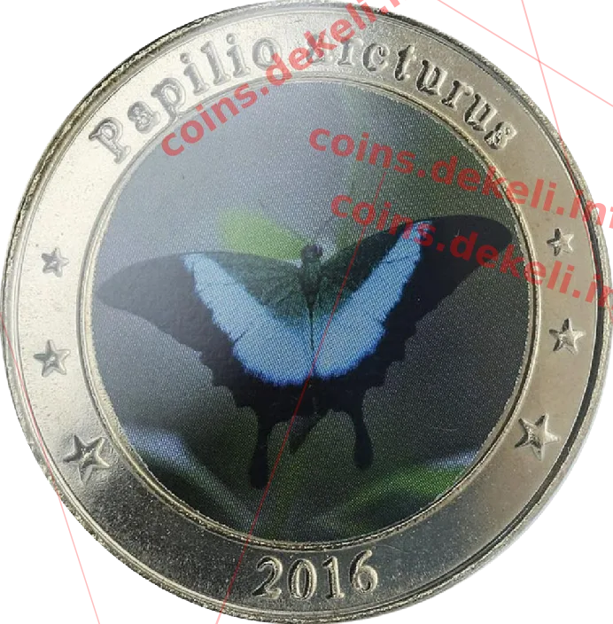 Papilio arcturus