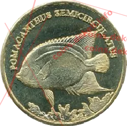 Pomacanthus semicirculatus