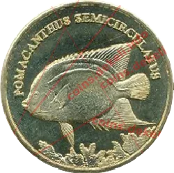 Pomacanthus semicirculatus