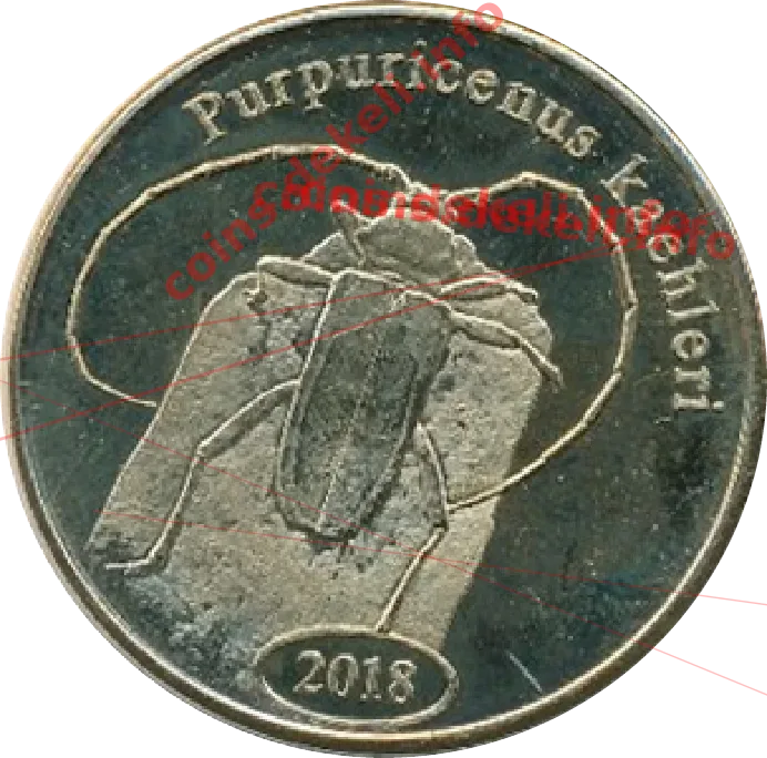 Purpuricenus kaehleri