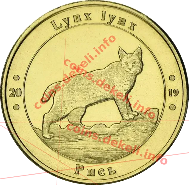 Рись