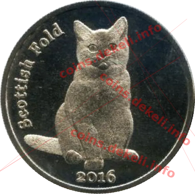 Scottish Fold