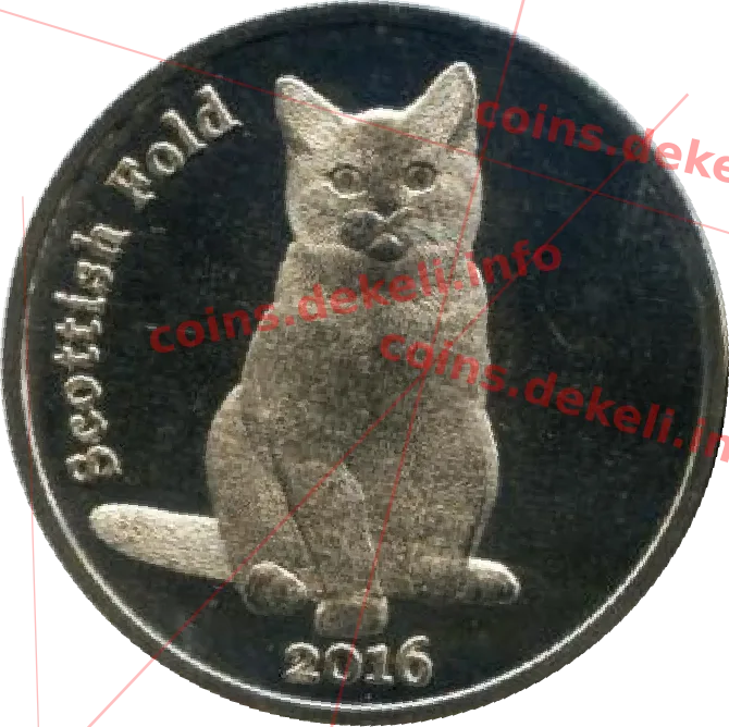 Scottish Fold