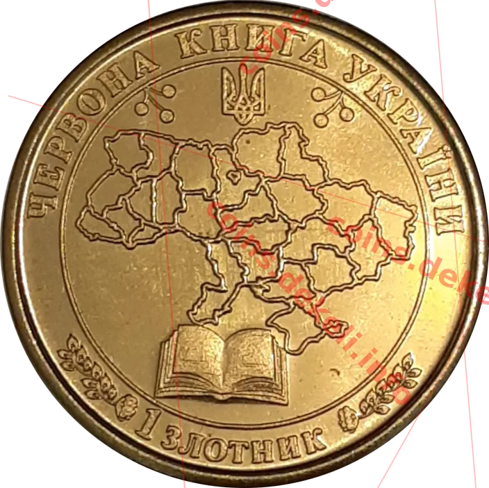 Стеліс кільчастий — реверс