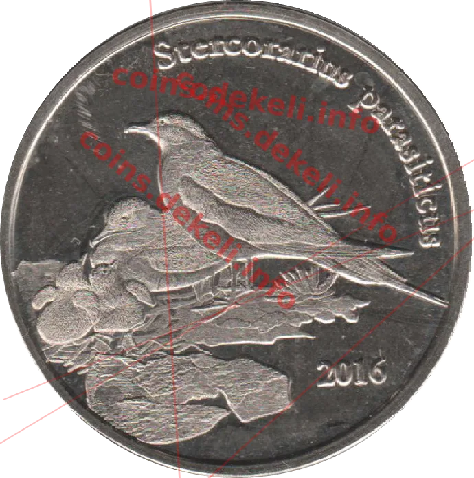 Stercorarius parasiticus