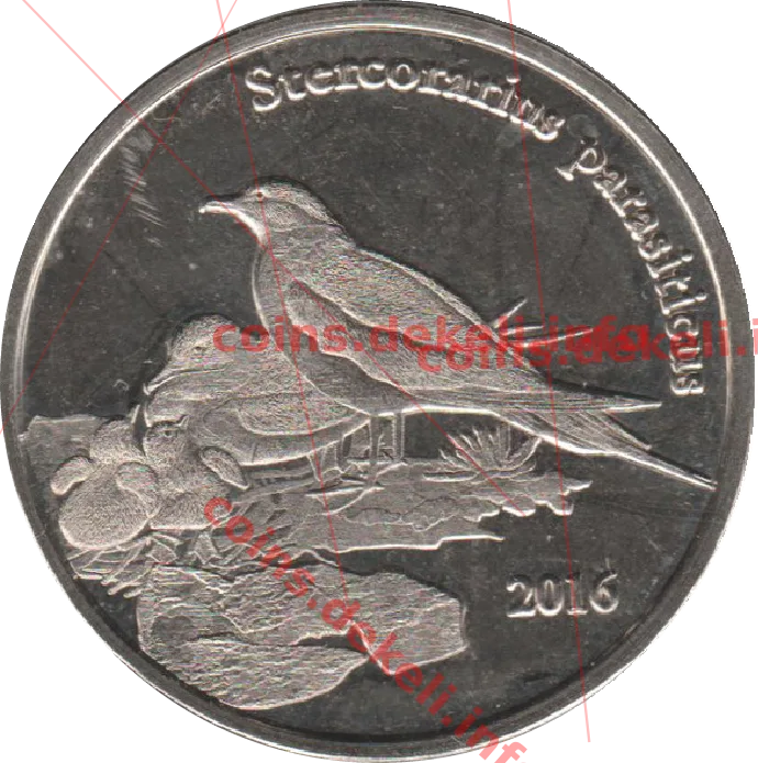 Stercorarius parasiticus