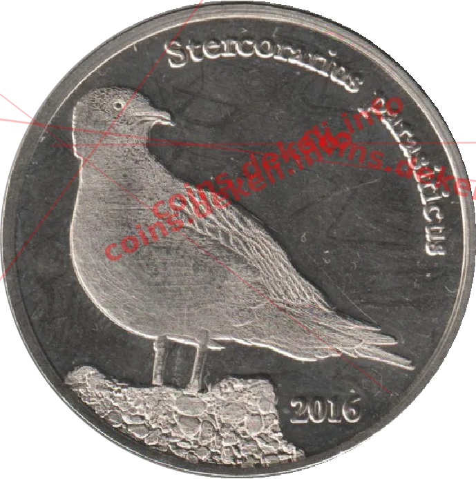 Stercorarius parasiticus